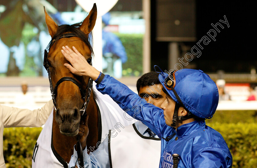 Poetic-Charm-0010 
 POETIC CHARM (William Buick) after The Balanchine Stakes
Meydan 14 Feb 2019 - Pic Steven Cargill / Racingfotos.com