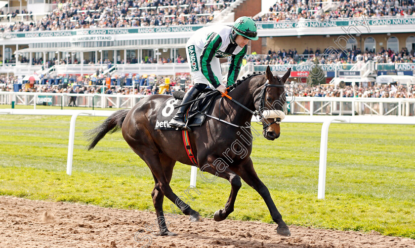 Suprise-Package 
 SUPRISE PACKAGE (Kevin Sexton)
Aintree 8 Apr 2022 - Pic Steven Cargill / Racingfotos.com