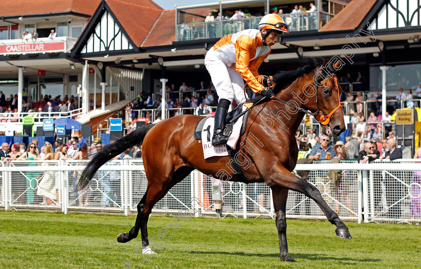 Jayarebe-0002 
 JAYAREBE (Sean Levey)
Chester 9 May 2024 - Pic Steven Cargill / Racingfotos.com