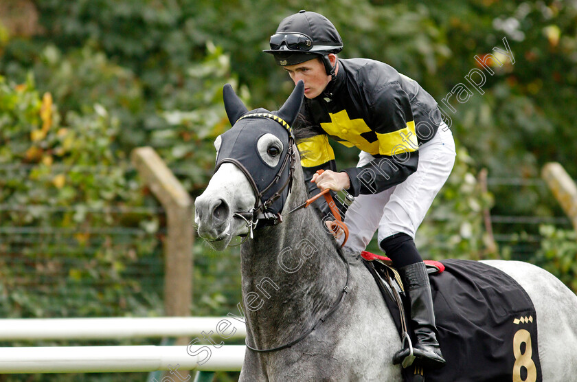 Silver-Gunn 
 SILVER GUNN (Dylan Hogan)
Nottingham 13 Oct 2021 - Pic Steven Cargill / Racingfotos.com