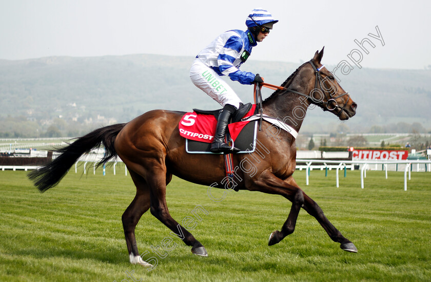 Mill-Green-0001 
 MILL GREEN (Nico de Boinville)
Cheltenham 17 Apr 2019 - Pic Steven Cargill / Racingfotos.com