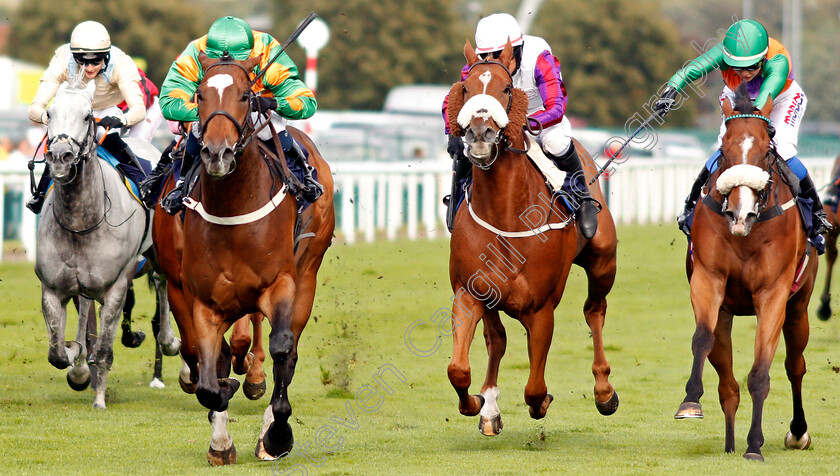 Saluti-0001 
 SALUTI (left, Georgia Cox) beats VON BLUCHER (centre) and HART STOPPER (right) in The Silk Series Lady Riders Handicap
Doncaster 12 Sep 2019 - Pic Steven Cargill / Racingfotos.com