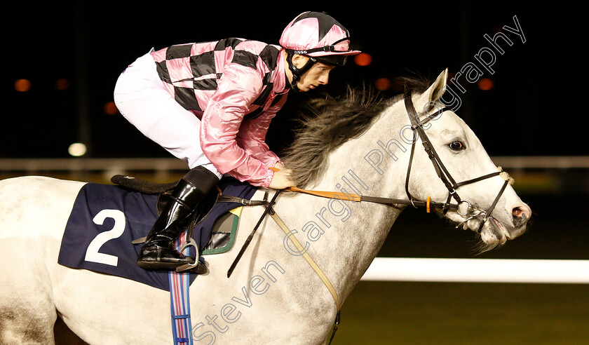 Ulster-0002 
 ULSTER (Edward Greatrex)
Wolverhampton 26 Feb 2019 - Pic Steven Cargill / Racingfotos.com