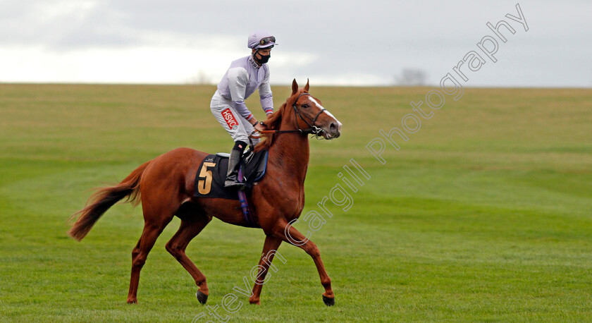 Mascat-0001 
 MASCAT (Tyler Heard)
Newmarket 30 Oct 2020 - Pic Steven Cargill / Racingfotos.com