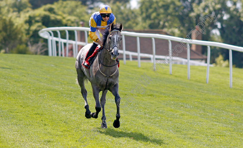 Cabinet-Of-Clowns-0001 
 CABINET OF CLOWNS (Charles Bishop)
Sandown 1 Jul 2022 - Pic Steven Cargill / Racingfotos.com