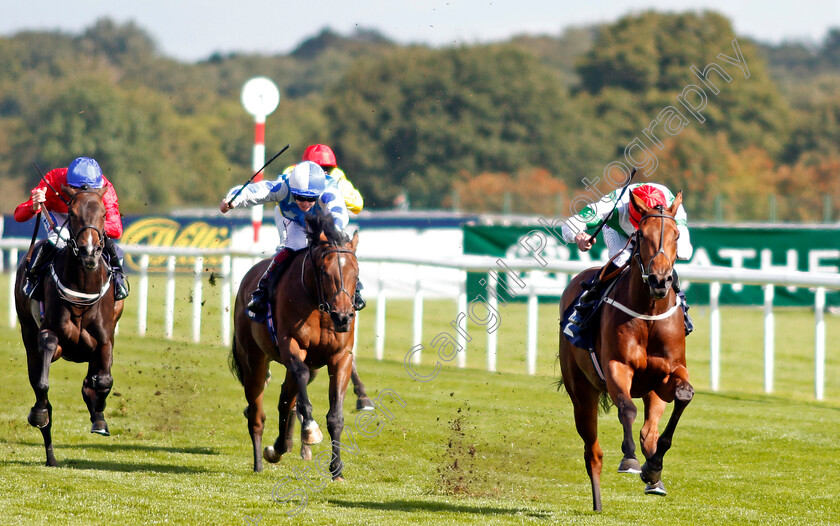 Ellthea-0001 
 ELLTHEA (Clifford Lee) wins The EBF British Stallion Studs Carrie Red Fillies Nursery Doncaster 14 Sep 2017 - Pic Steven Cargill / Racingfotos.com