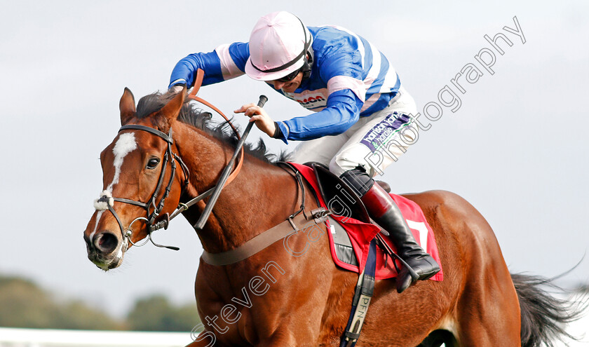 Risk-And-Roll-0005 
 RISK AND ROLL (Sam Twiston-Davies) wins The Matchbook Betting Exchange Juvenile Hurdle Kempton 22 oct 2017 - Pic Steven Cargill / Racingfotos.com