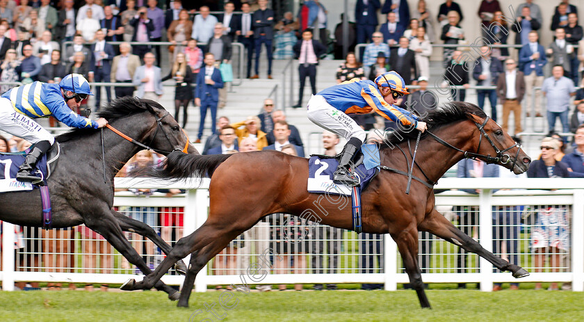 Cherokee-Trail-0005 
 CHEROKEE TRAIL (Kieran O'Neill) wins The Italian Tourist Board British EBF Novice Stakes
Ascot 7 Sep 2019 - Pic Steven Cargill / Racingfotos.com