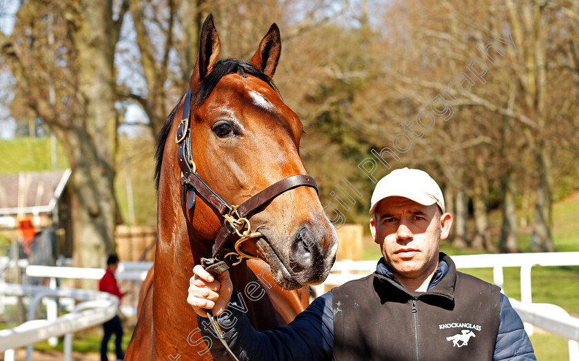 Lot-0006-colt-by-Dandy-Man-ex-Paddy-Again-0002 
 Lot 006 colt by Dandy Man ex Paddy Again sells for £58,000 at Tattersalls Ireland Ascot Breeze Up Sale 5 Apr 2018 - Pic Steven Cargill / Racingfotos.com