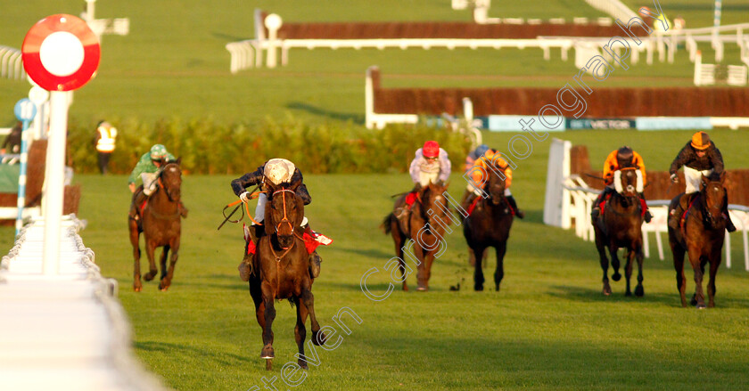 Easysland-0006 
 EASYSLAND (Jonathan Plouganou) wins The Glenfarclas Cross Country Handicap Chase
Cheltenham 13 Dec 2019 - Pic Steven Cargill / Racingfotos.com