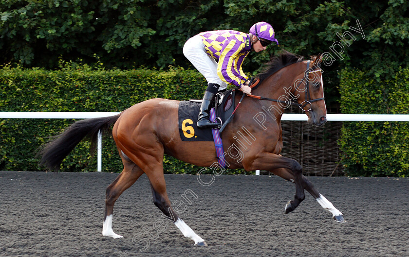 Skyman-0001 
 SKYMAN (Jason Watson)
Kempton 10 Jul 2019 - Pic Steven Cargill / Racingfotos.com