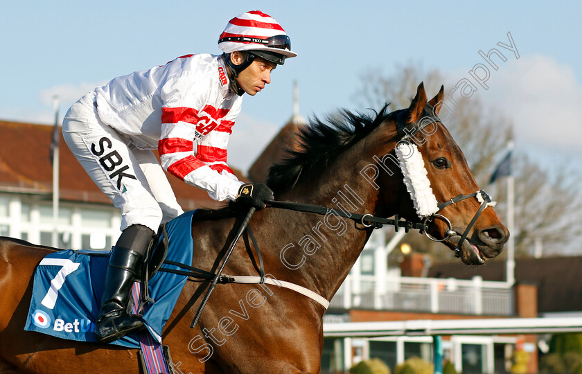 Young-Fire-0001 
 YOUNG FIRE (Sean Levey)
Lingfield 21 Jan 2023 - Pic Steven Cargill / Racingfotos.com