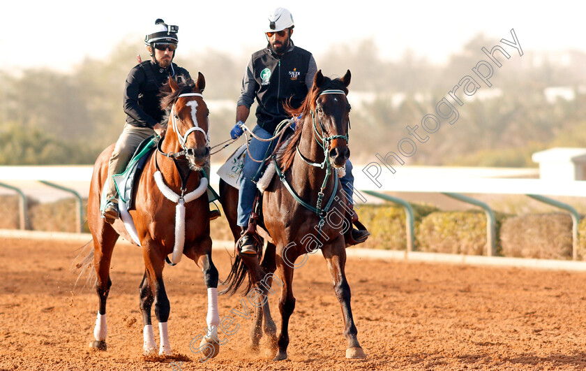 Maximum-Security-0001 
 MAXIMUM SECURITY preparing for The Saudi Cup
Riyadh Racetrack, Kingdom Of Saudi Arabia, 27 Feb 2020 - Pic Steven Cargill / Racingfotos.com