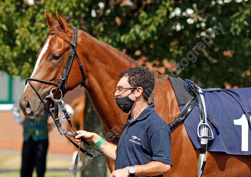 Operatic-0003 
 OPERATIC 
Wolverhampton 11 Aug 2020 - Pic Steven Cargill / Racingfotos.com