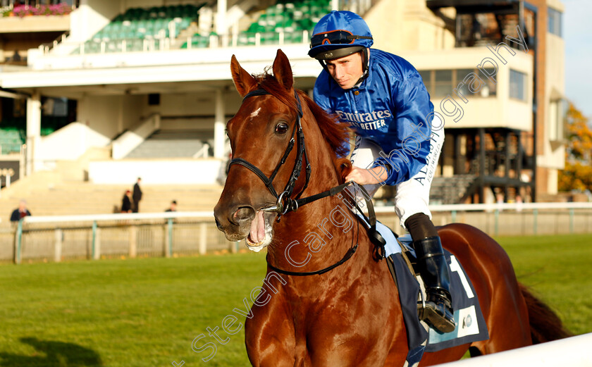 Ancient-Rules-0001 
 ANCIENT RULES (Ryan Moore)
Newmarket 19 Oct 2022 - Pic Steven Cargill / Racingfotos.com