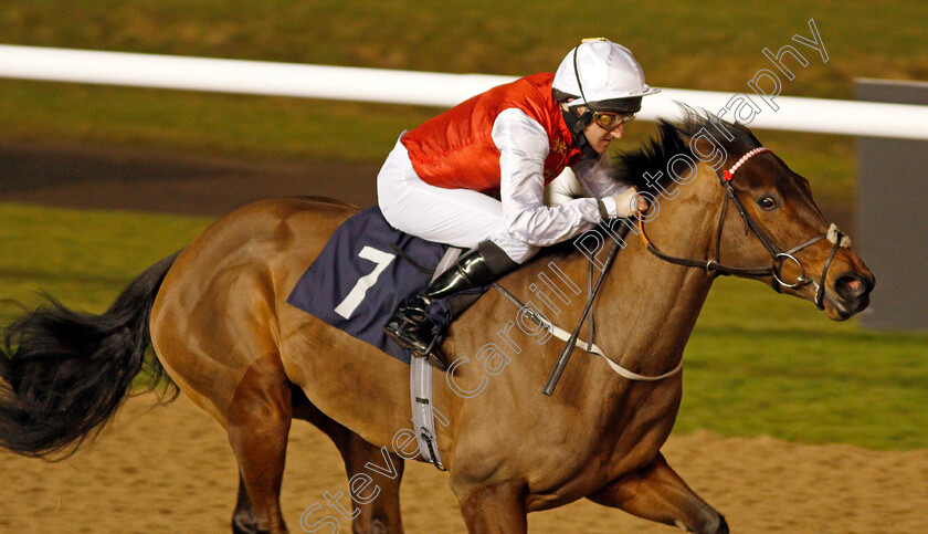 Night-Narcissus-0005 
 NIGHT NARCISSUS (Liam Keniry) wins The Play Ladbrokes 5-A-Side On Football Fillies Novice Stakes
Wolverhampton 11 Jan 2021 - Pic Steven Cargill / Racingfotos.com