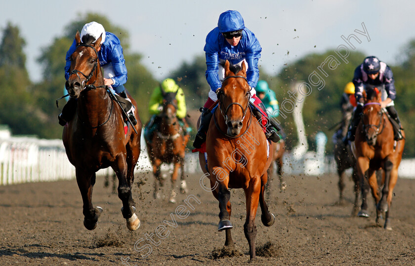 Mutafawwig-0005 
 MUTAFAWWIG (centre, Oisin Murphy) beats VALIANT PRINCE (left) in The Unibet Casino Deposit £10 Get £40 Bonus Novice Stakes Div1
Kempton 4 Aug 2021 - Pic Steven Cargill / Racingfotos.com