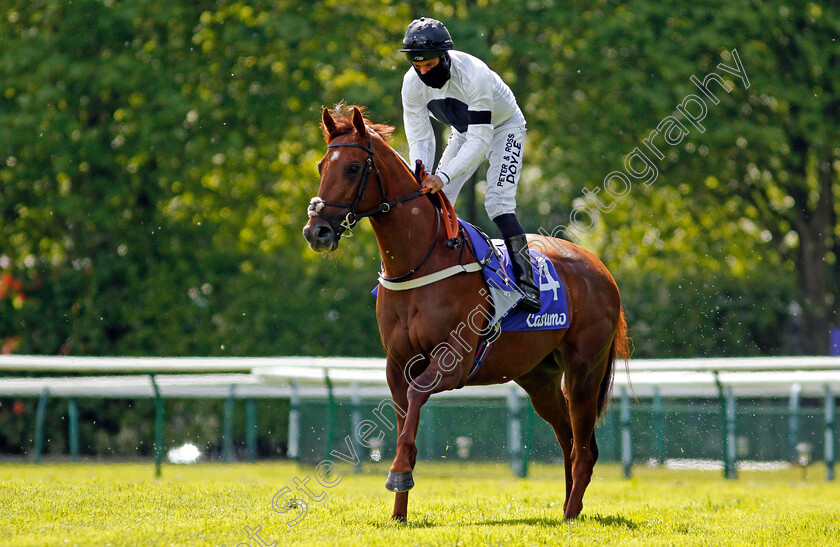 Method-0002 
 METHOD (Sean Levey)
Haydock 22 May 2021 - Pic Steven Cargill / Racingfotos.com