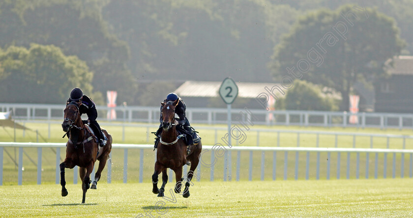 Coolangatta-0006 
 COOLANGATTA (right, James McDonald) preparing for Royal Ascot
Ascot 14 Jun 2023 - Pic Steven Cargill / Racingfotos.com