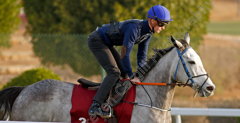 Princess-Zoe-0005 
 PRINCESS ZOE training for the Turf Handicap
King Abdulaziz Racetrack, Riyadh, Saudi Arabia 24 Feb 2022 - Pic Steven Cargill / Racingfotos.com