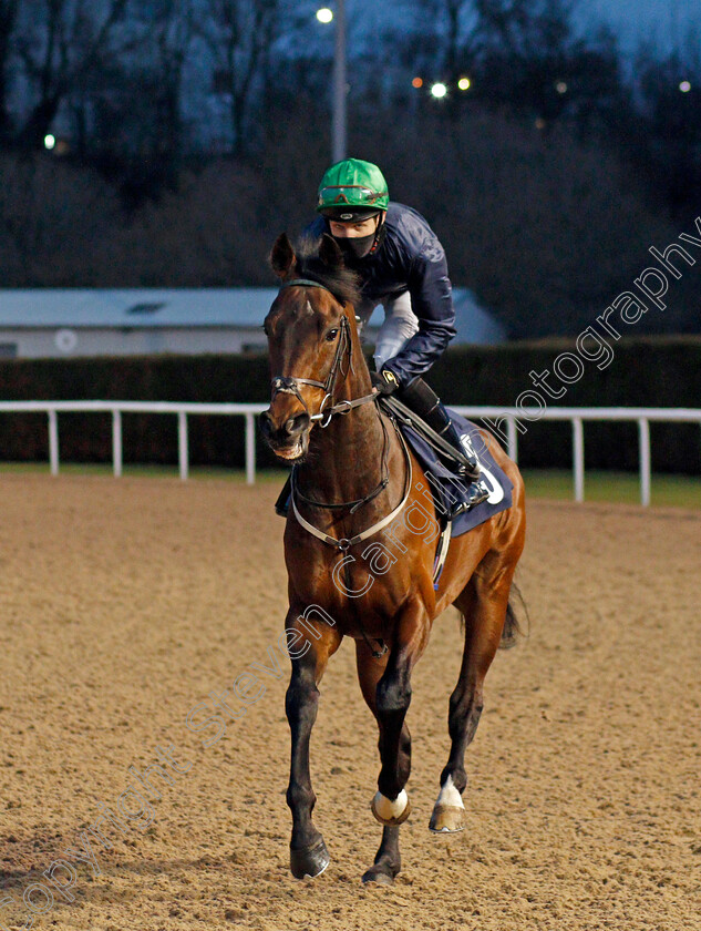 Coldstream-0001 
 COLDSTREAM (Charles Bishop)
Wolverhampton 12 Mar 2021 - Pic Steven Cargill / Racingfotos.com