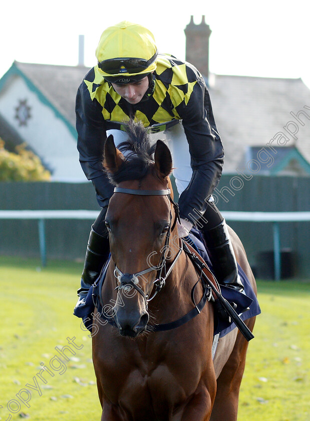 London-Rock-0001 
 LONDON ROCK (Rossa Ryan)
Yarmouth 23 Oct 2018 - Pic Steven Cargill / Racingfotos.com