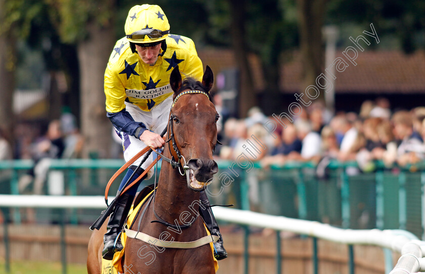 Euchen-Glen-0001 
 EUCHEN GLEN (Daniel Muscutt)
Haydock 7 Sep 2024 - Pic Steven Cargill / Racingfotos.com