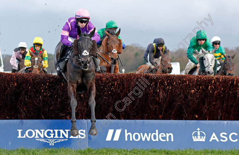 Cobolobo-0002 
 COBOLOBO (Kevin Brogan)
Ascot 19 Feb 2022 - Pic Steven Cargill / Racingfotos.com