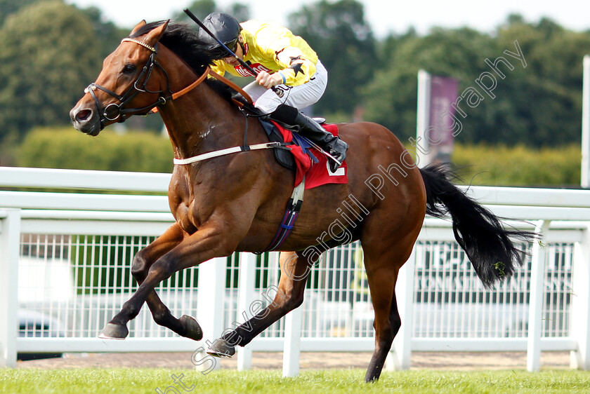 Beringer-0005 
 BERINGER (Martin Harley) wins The Beck Handicap
Sandown 15 Jun 2018 - Pic Steven Cargill / Racingfotos.com