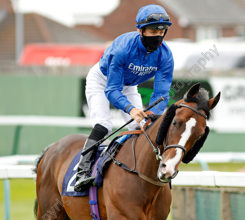 My-Vision-0001 
 MY VISION (Harry Bentley) 
Yarmouth 22 Jul 2020 - Pic Steven Cargill / Racingfotos.com