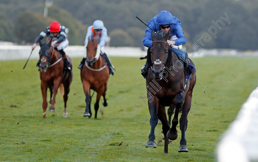 Game-Starter-0003 
 GAME STARTER (Oisin Murphy) wins The Marra Falcons Handicap Doncaster 16 Sep 2017 - Pic Steven Cargill / Racingfotos.com