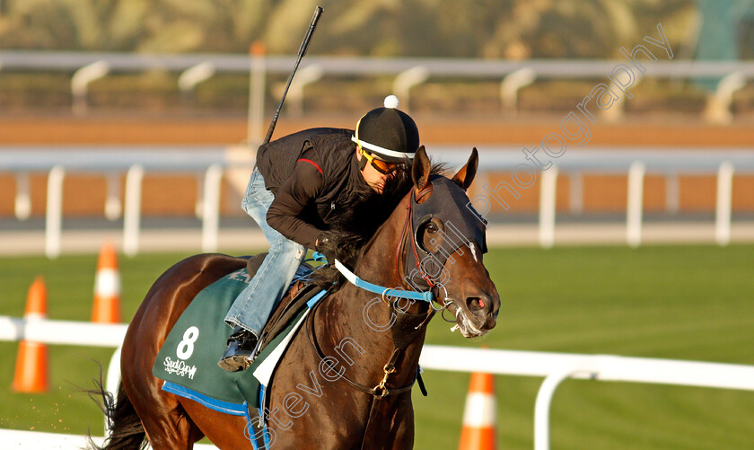 Midnight-Bourbon-0002 
 MIDNIGHT BOURBON training for The Saudi Cup
King Abdulaziz Racetrack, Riyadh, Saudi Arabia 22 Feb 2022 - Pic Steven Cargill / Racingfotos.com