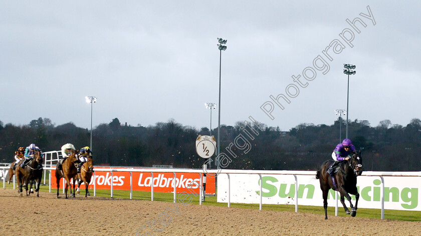 Heavenly-Holly-0004 
 HEAVENLY HOLLY (Josephine Gordon) wins The sunracing.co.uk Novice Stakes
Wolverhampton 28 Nov 2018 - Pic Steven Cargill / Racingfotos.com