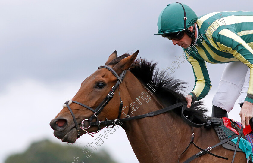 Kitty-Furnival-0001 
 KITTY FURNIVAL (Jack Mitchell) wins The Minerva Innovation Group Maiden Fillies Stakes
Kempton 2 Oct 2024 - Pic Steven Cargill / Racingfotos.com