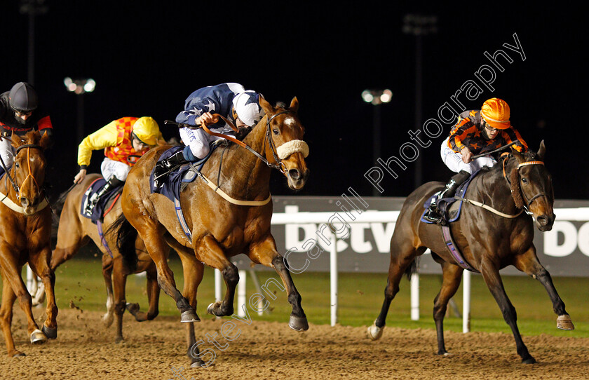 Lady-Of-York-0003 
 LADY OF YORK (left, Joey Haynes) beats EPANEEMA (right) in The Heed Your Hunch At Betway Handicap Div2
Wolverhampton 24 Nov 2020 - Pic Steven Cargill / Racingfotos.com