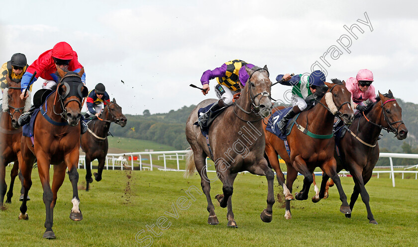 David s-Beauty-0004 
 DAVID'S BEAUTY (left, Luke Morris) beats ZIPEDEEDODAH (centre) KINGSTREET LADY (2nd right) and JOHN JOINER (right) in The Davies, Lovell And Sutton On Course Bookmakers Handicap Chepstow 6 Sep 2017 - Pic Steven Cargill / Racingfotos.com