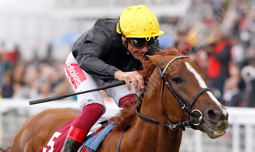 Stradivarius-0009 
 STRADIVARIUS (Frankie Dettori) wins The Qatar Goodwood Cup
Goodwood 30 Jul 2019 - Pic Steven Cargill / Racingfotos.com