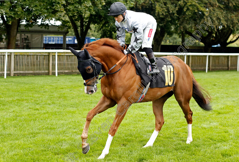 Maharajas-Express-0001 
 MAHARAJAS EXPRESS (Hollie Doyle)
Newmarket 5 Aug 2023 - Pic Steven Cargill / Racingfotos.com