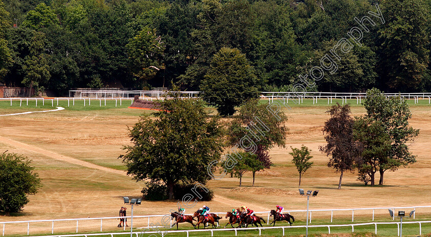 Vibrant-Chords-0001 
 Action on the sprint course during The London Insurance Day Handicap won by VIBRANT CHORDS (2nd left)
Sandown 6 Jul 2018 - Pic Steven Cargill / Racingfotos.com