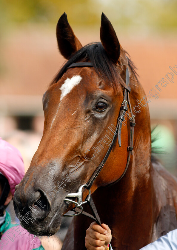 Nostrum-0015 
 NOSTRUM (Ryan Moore) winner of The Tattersalls Stakes
Newmarket 22 Sep 2022 - Pic Steven Cargill / Racingfotos.com