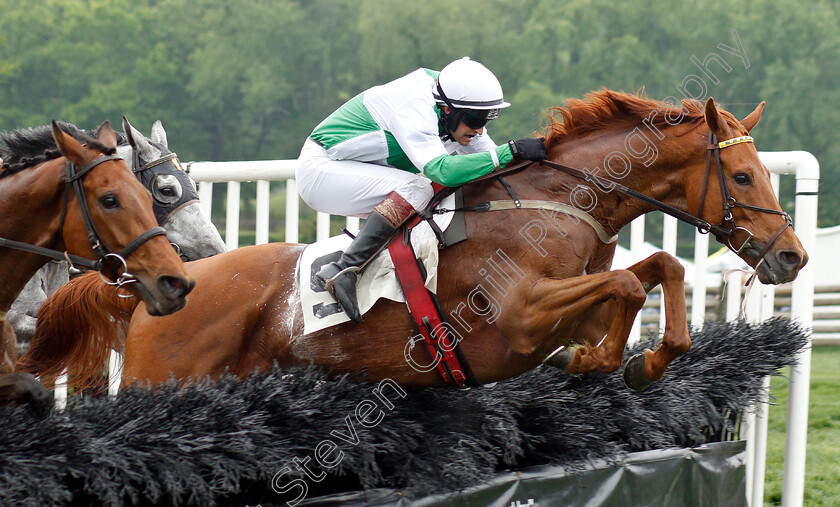 Help-From-Heaven-0001 
 HELP FROM HEAVEN (Ross Geraghty)
Percy Warner Park, Nashville USA, 11 May 2019 - Pic Steven Cargill / Racingfotos.com