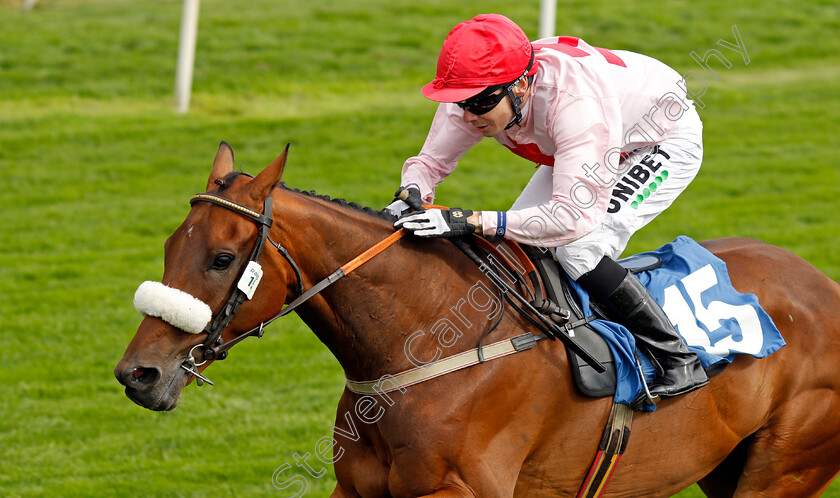 Arcadian-Sunrise-0004 
 ARCADIAN SUNRISE (Jamie Spencer) wins The Sky Bet Handicap 
York 18 Aug 2021 - Pic Steven Cargill / Racingfotos.com