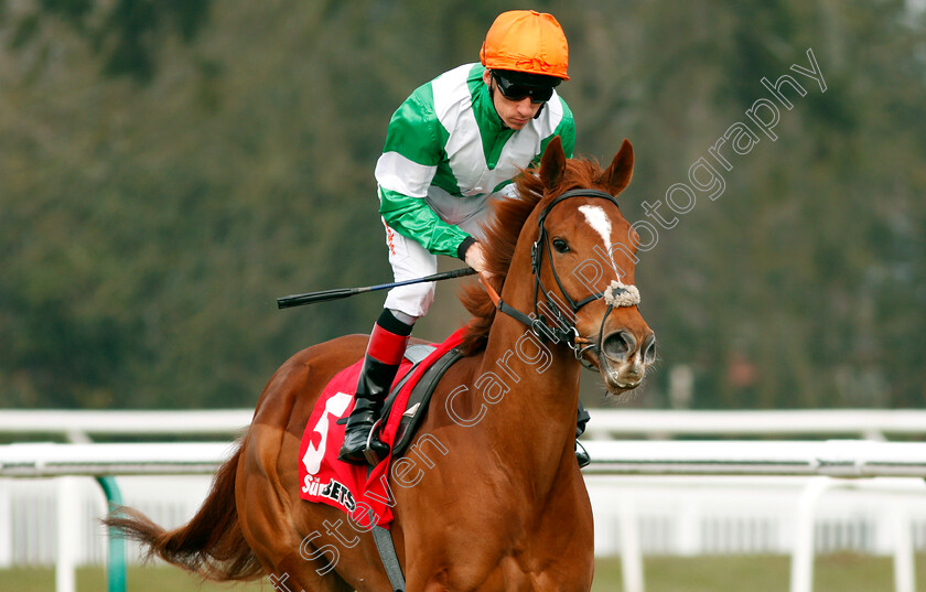 Mr-Minerals-0003 
 MR MINERALS (Shane Kelly) Lingfield 3 Mar 2018 - Pic Steven Cargill / Racingfotos.com