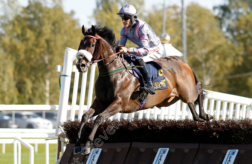 Throne-Hall-0001 
 THRONE HALL (Nick Scholfield) finishing 2nd in H M Drottningens Pris
Bro Park, Sweden 17 Sep 2023 - Pic Steven Cargill / Racingfotos.com