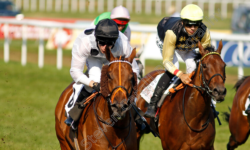 Tiffany-0003 
 TIFFANY (Luke Morris) wins The T. Von Zastrow Stutenpreis (Group 2)
Baden-Baden 31 Aug 2024 - Pic Steven Cargill / Racingfotos.com