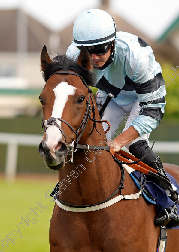 Swayze-0001 
 SWAYZE (Tom Marquand) winner of The British Stallion Studs EBF Maiden Stakes
Yarmouth 14 Jul 2021 - Pic Steven Cargill / Racingfotos.com