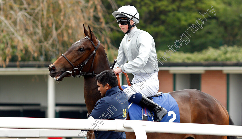 Desert-Lantern-0001 
 DESERT LANTERN (Andrew Breslin)
Nottingham 30 Apr 2019 - Pic Steven Cargill / Racingfotos.com