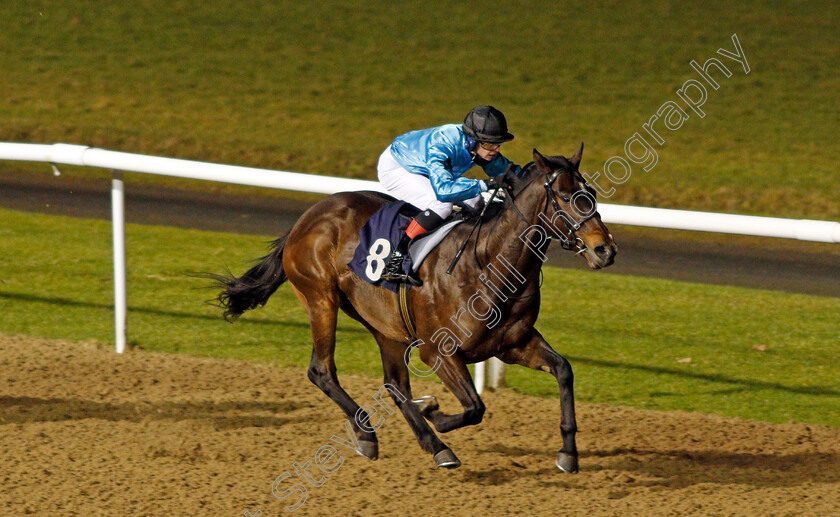 Arabic-Welcome-0002 
 ARABIC WELCOME (Christian Howarth) wins The Heed Your Hunch At Betway Handicap Div1
Wolverhampton 18 Jan 2021 - Pic Steven Cargill / Racingfotos.com