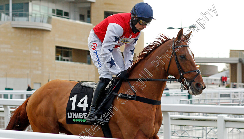 Proschema-0001 
 PROSCHEMA (Harry Skelton)
Cheltenham 15 Nov 2020 - Pic Steven Cargill / Racingfotos.com