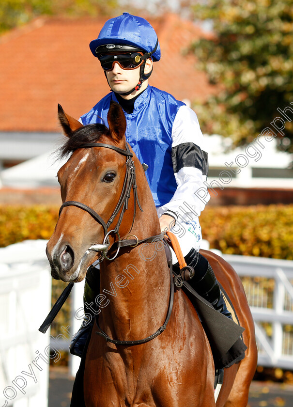 Densetsu-0001 
 DENSETSU (Stefano Cherchi)
Newmarket 19 Oct 2022 - Pic Steven Cargill / Racingfotos.com